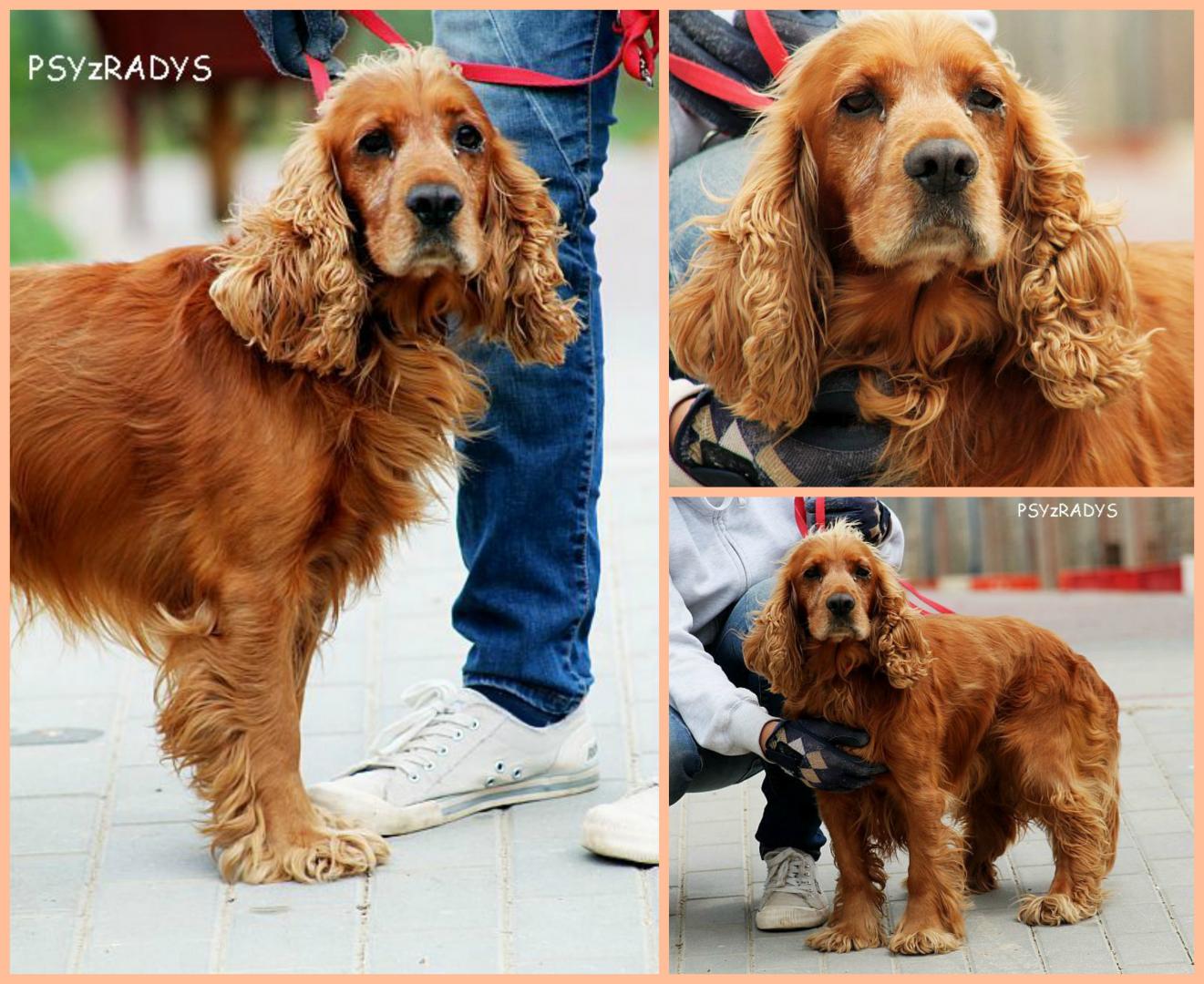 PicMonkey Collage.jpg