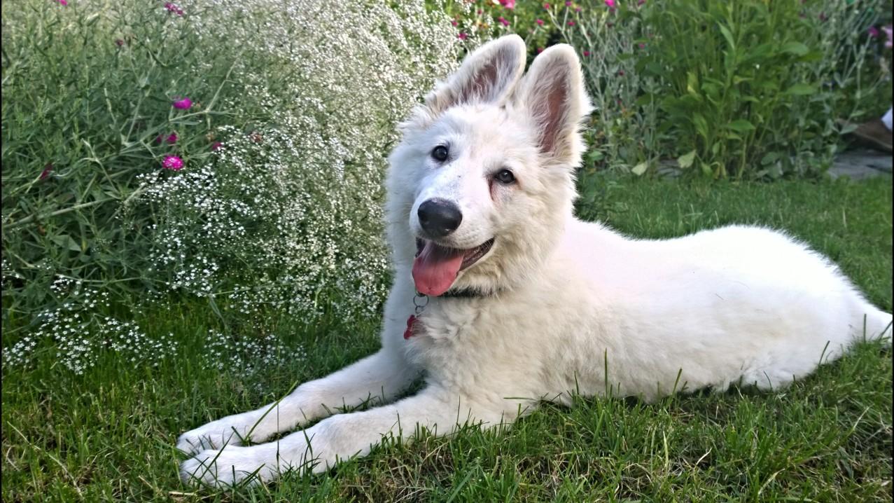 WP_20160703_17_27_53_Pro (2).jpg