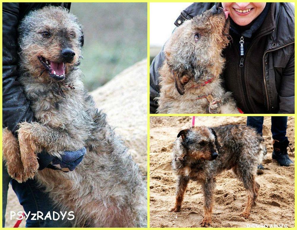 PicMonkey Collage.jpg