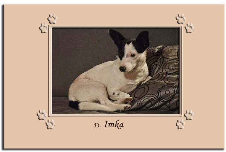 kartka49 Imka copy.jpg