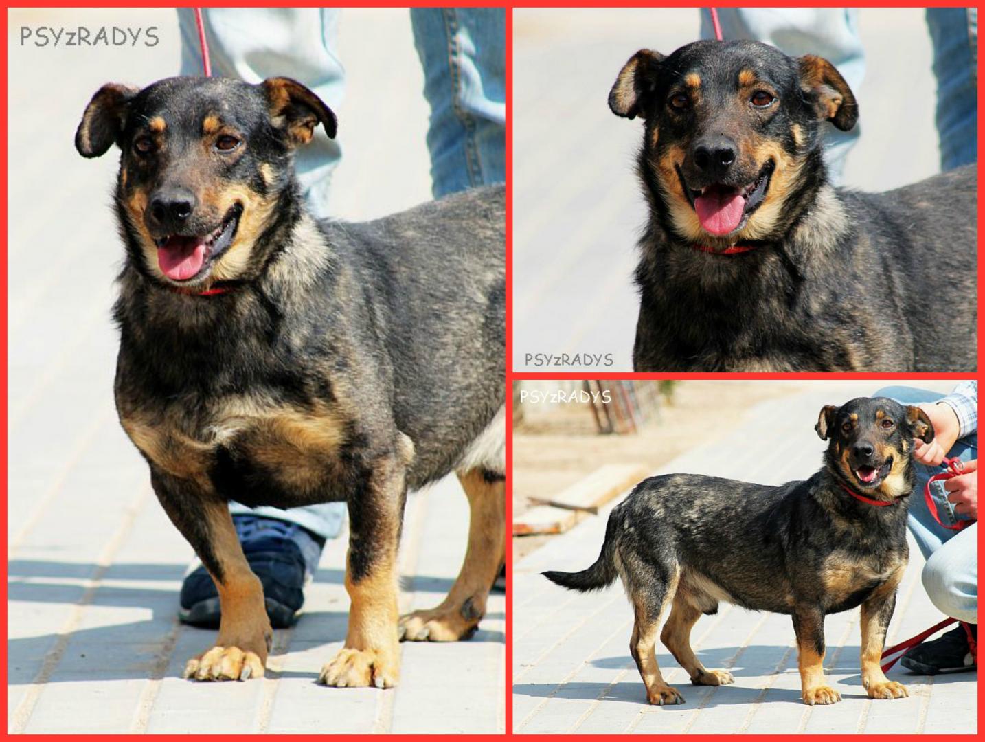 PicMonkey Collage.jpg