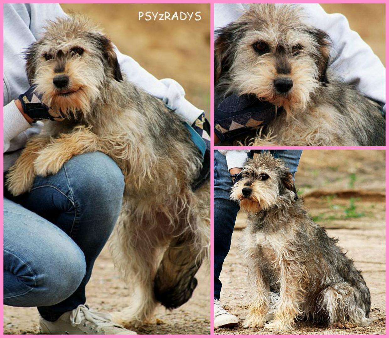 PicMonkey Collage.jpg