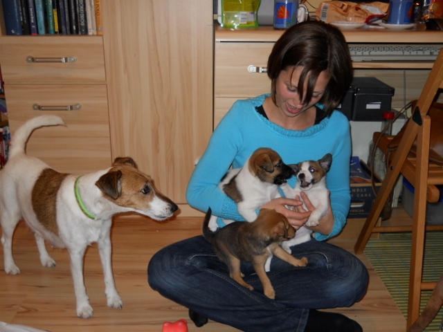 Obraz 069 (640x480).jpg