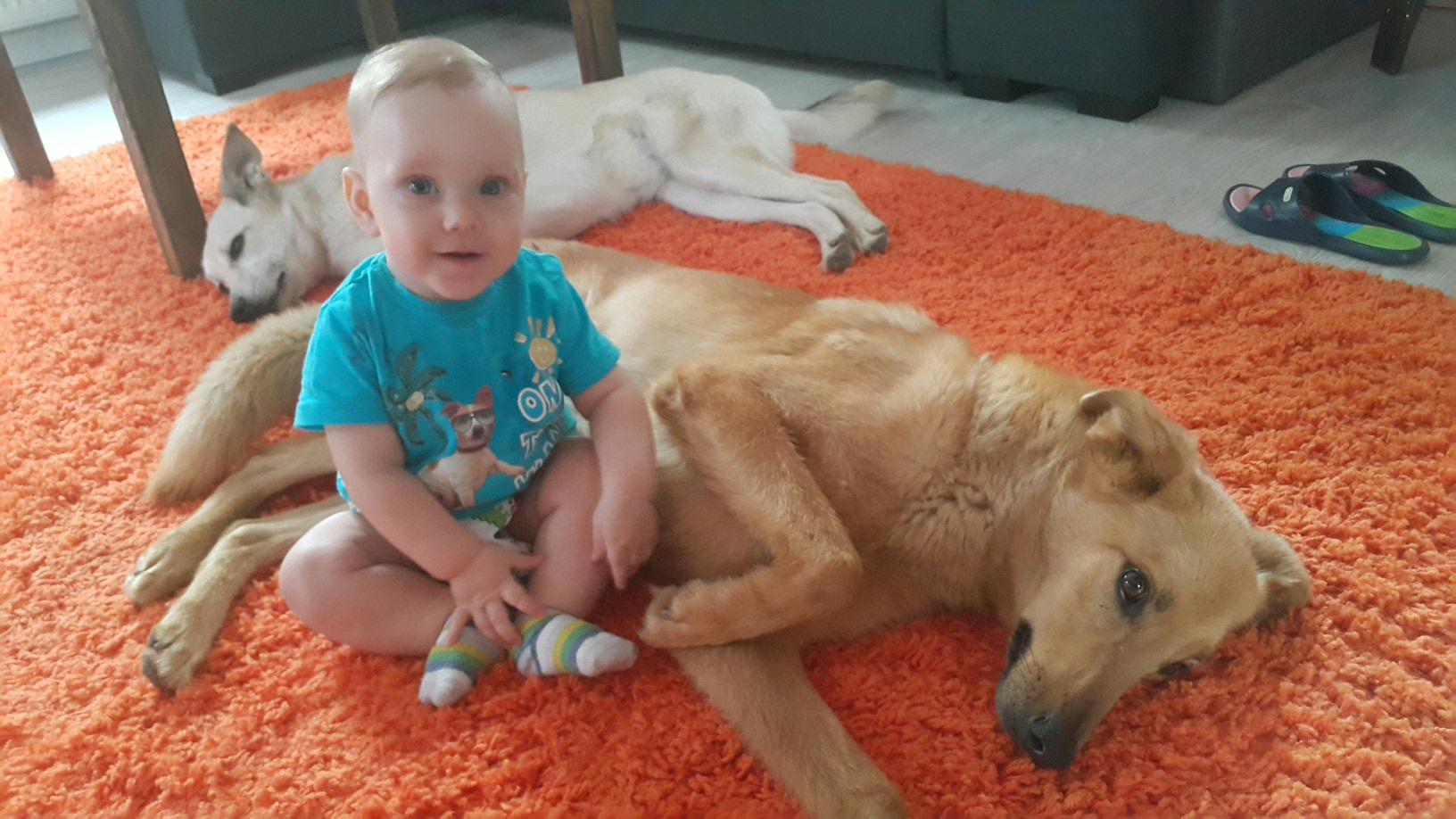 2016-09-08 09.16.12.jpg