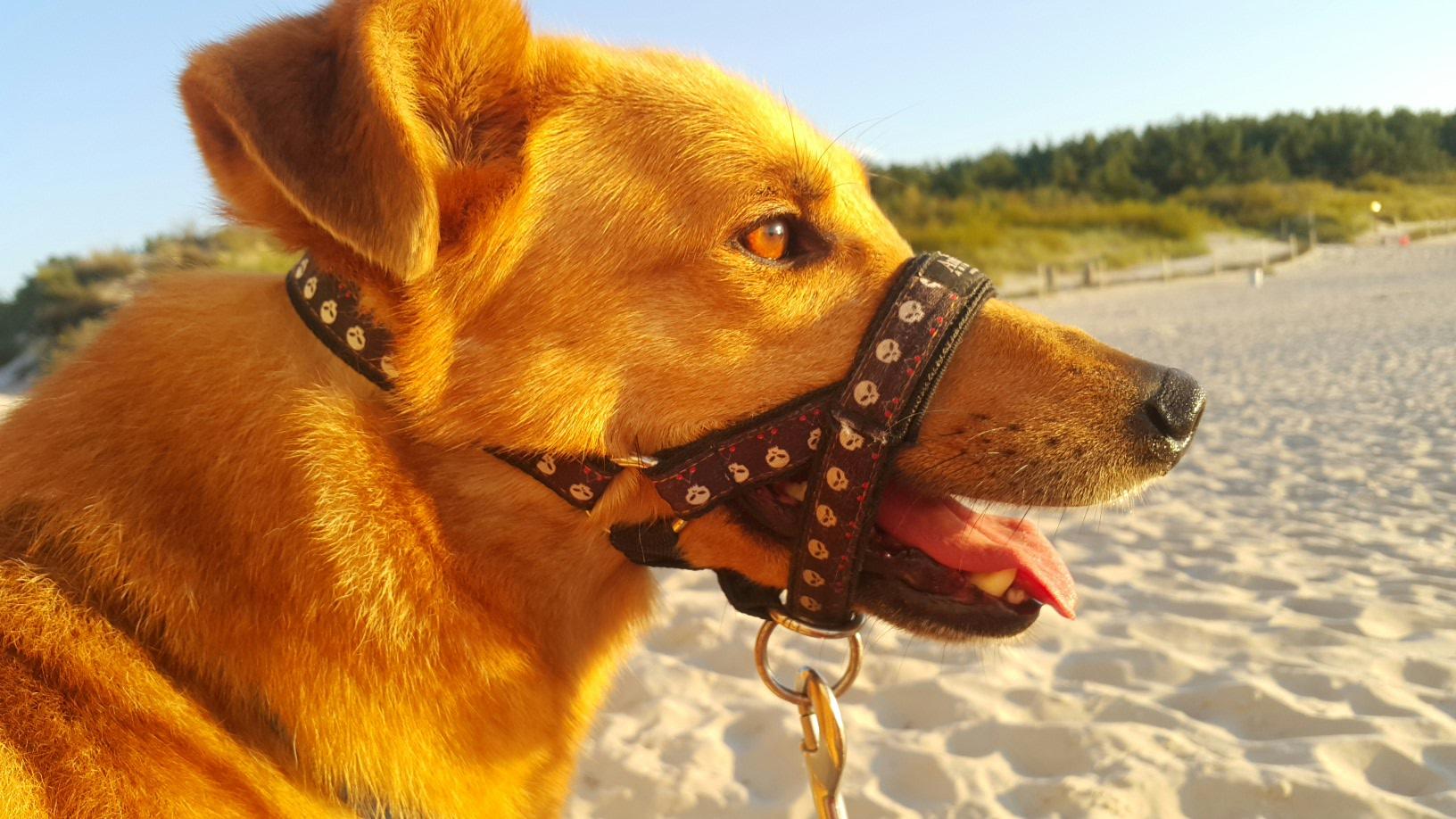 2016-09-20 19.49.55.jpg