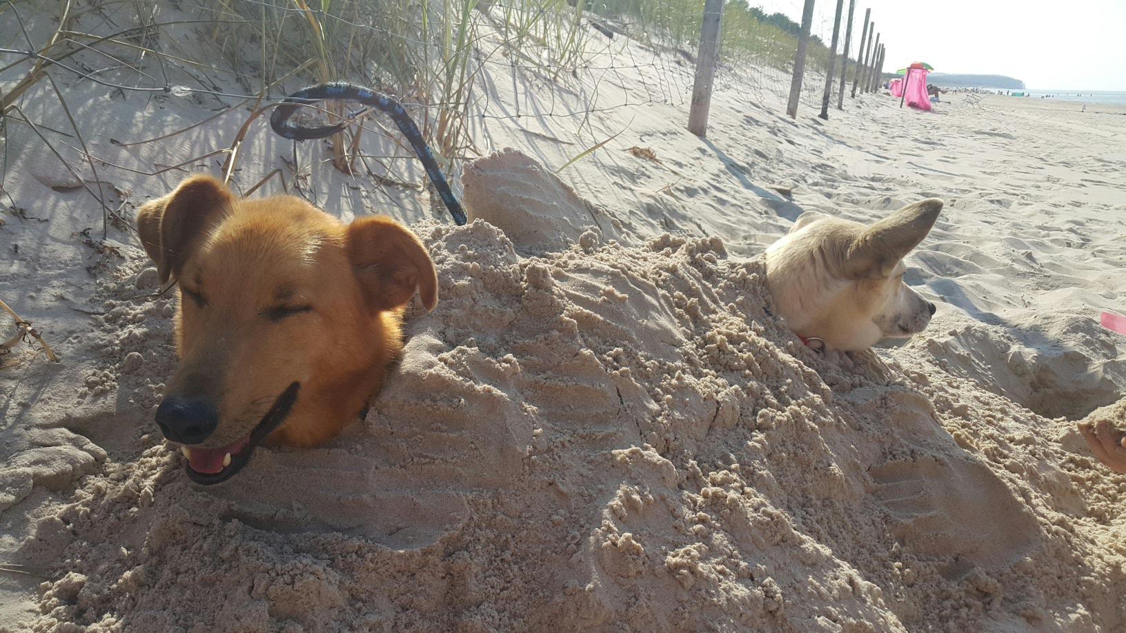 2016-09-20 19.54.26.jpg