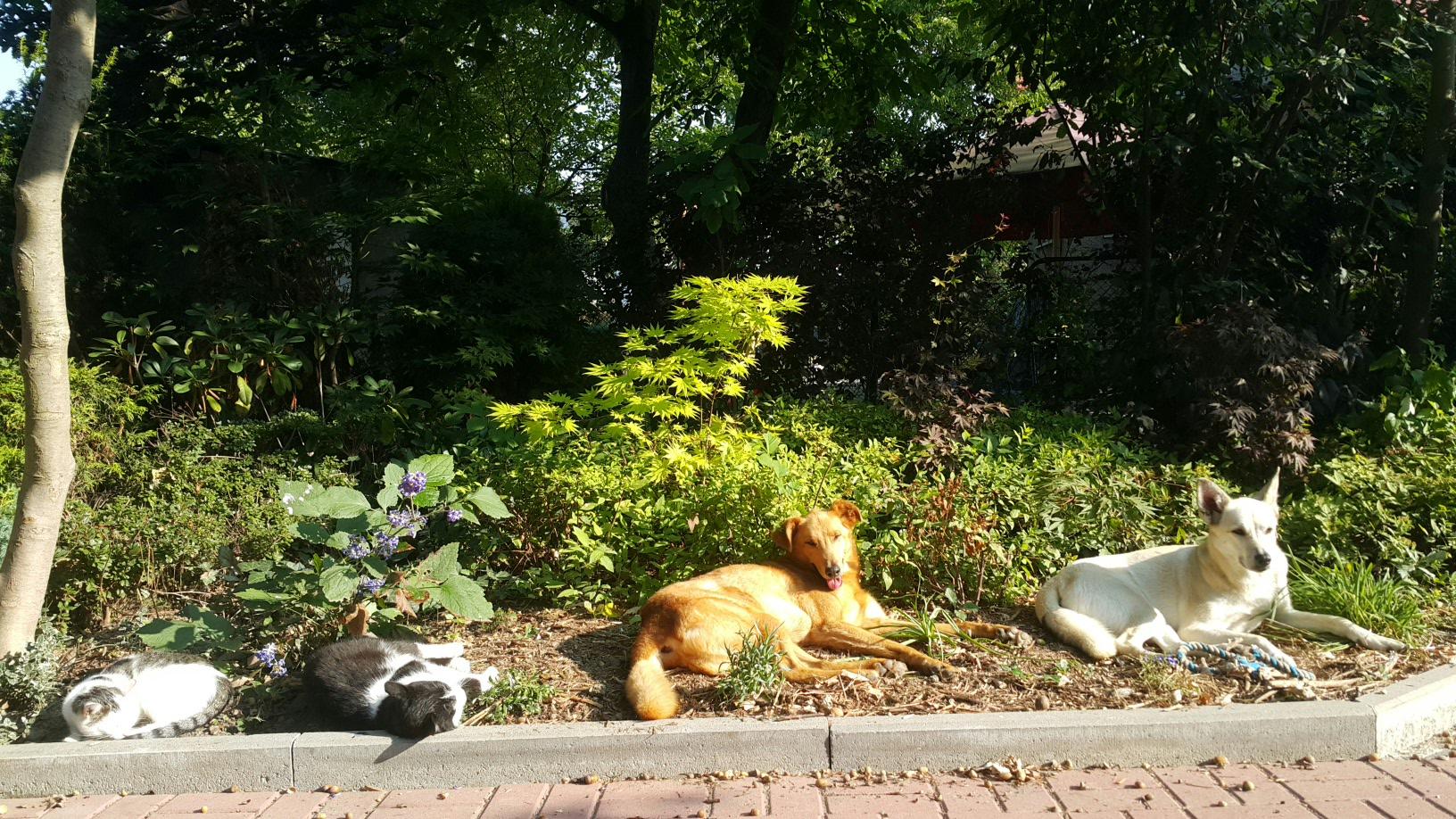 2016-10-23 08.52.03.jpg