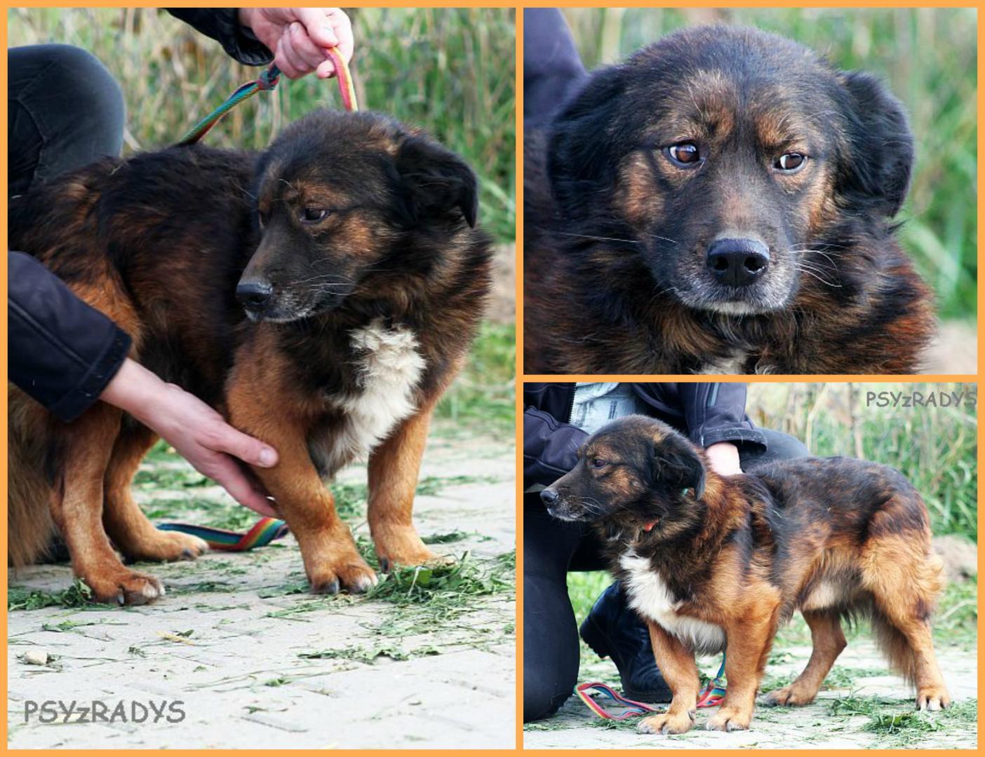 PicMonkey Collage.jpg