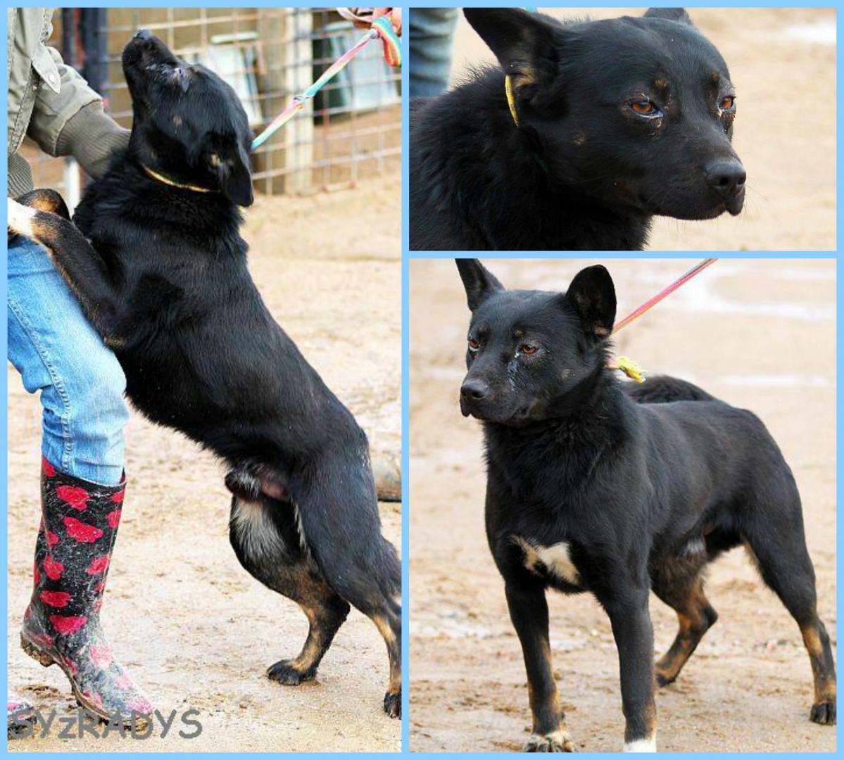 PicMonkey Collage.jpg