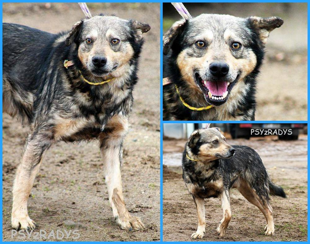 PicMonkey Collage.jpg