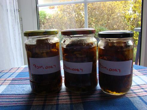 pomidory suszone.JPG