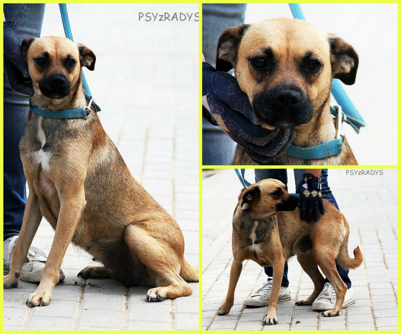 PicMonkey Collage.jpg