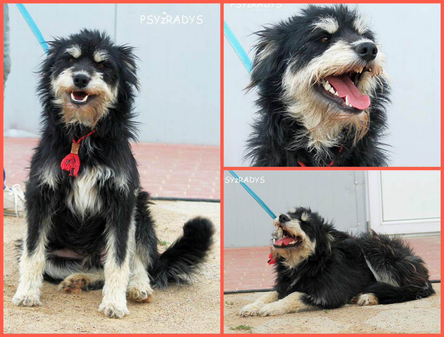 PicMonkey Collage.jpg