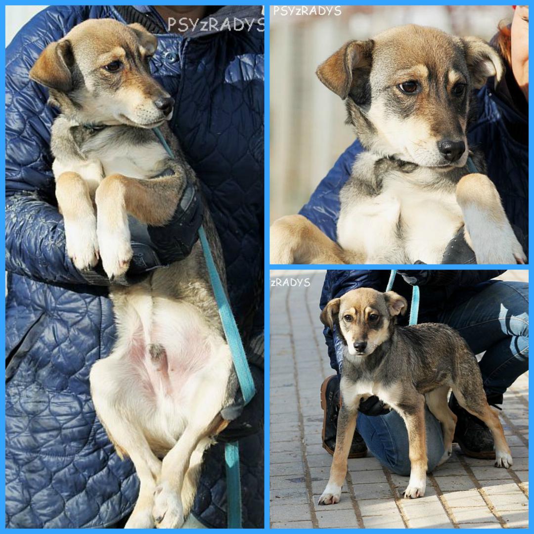 PicMonkey Collage.jpg