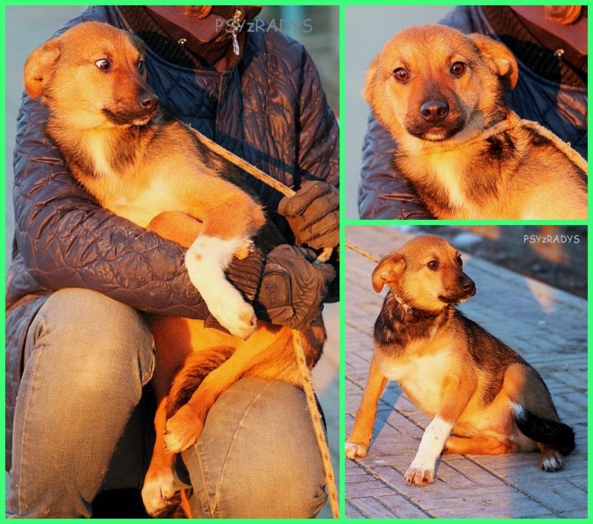 PicMonkey Collage.jpg