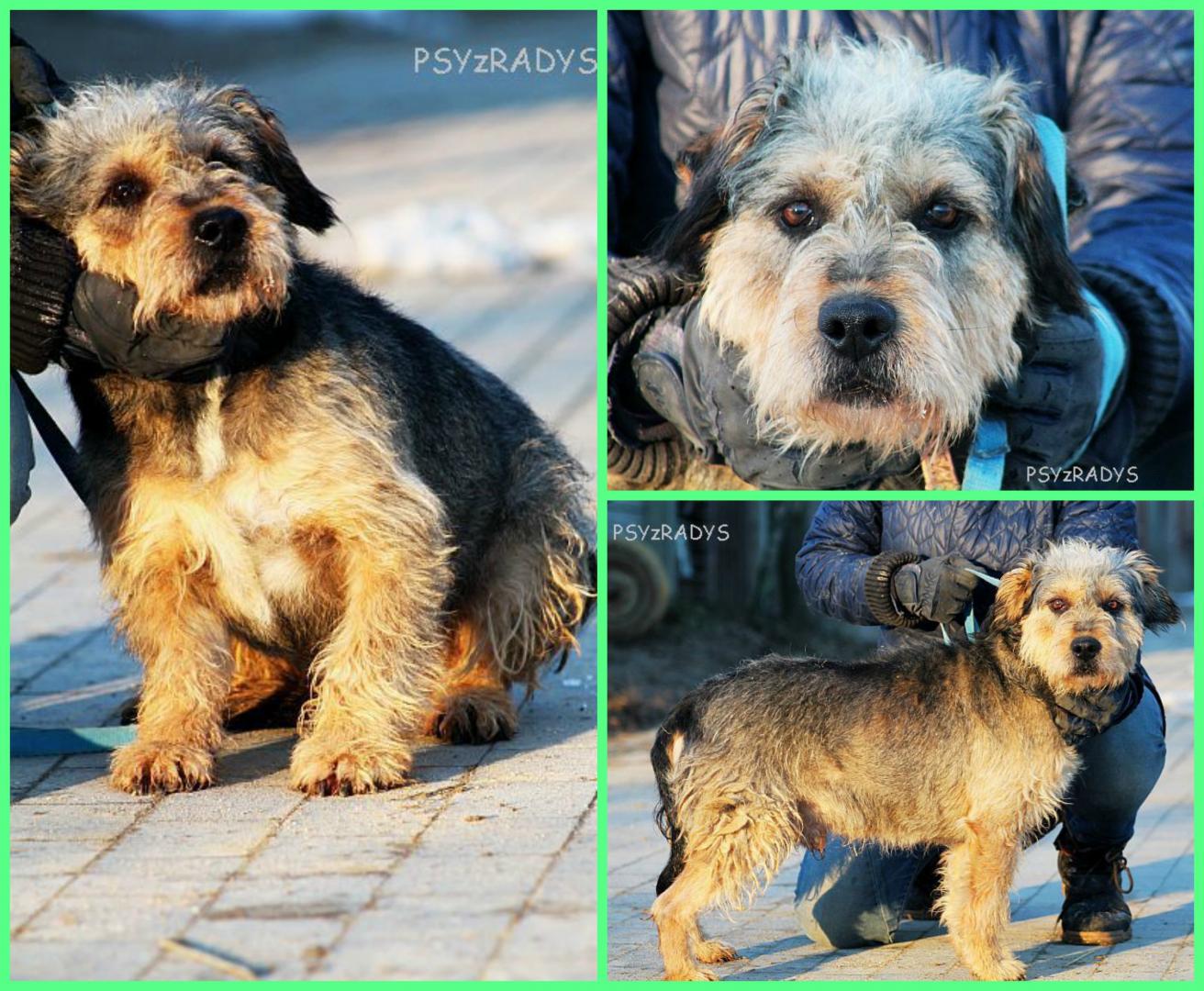 PicMonkey Collage.jpg