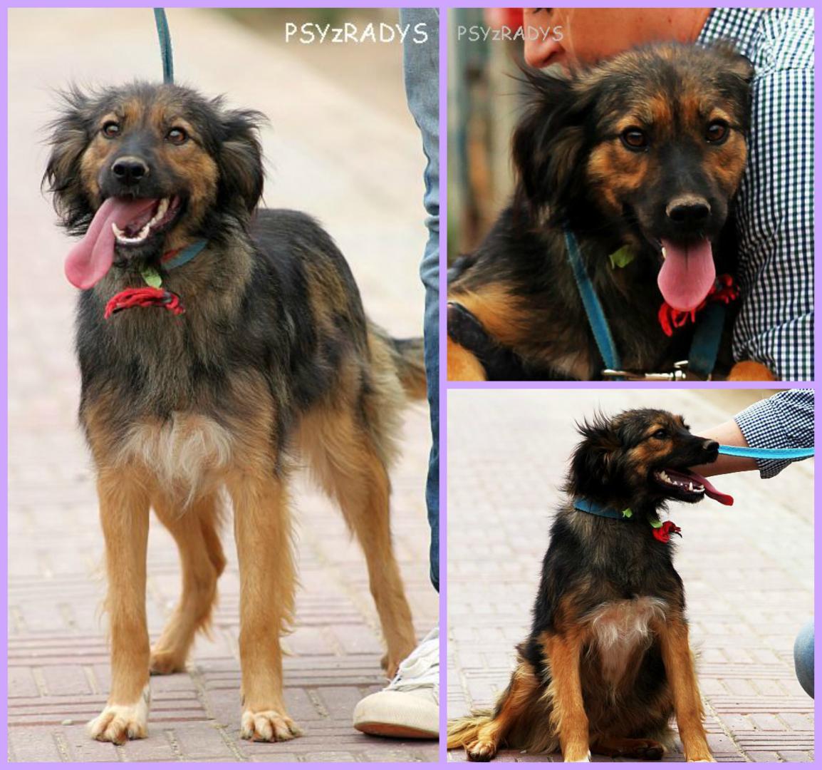 PicMonkey Collage.jpg