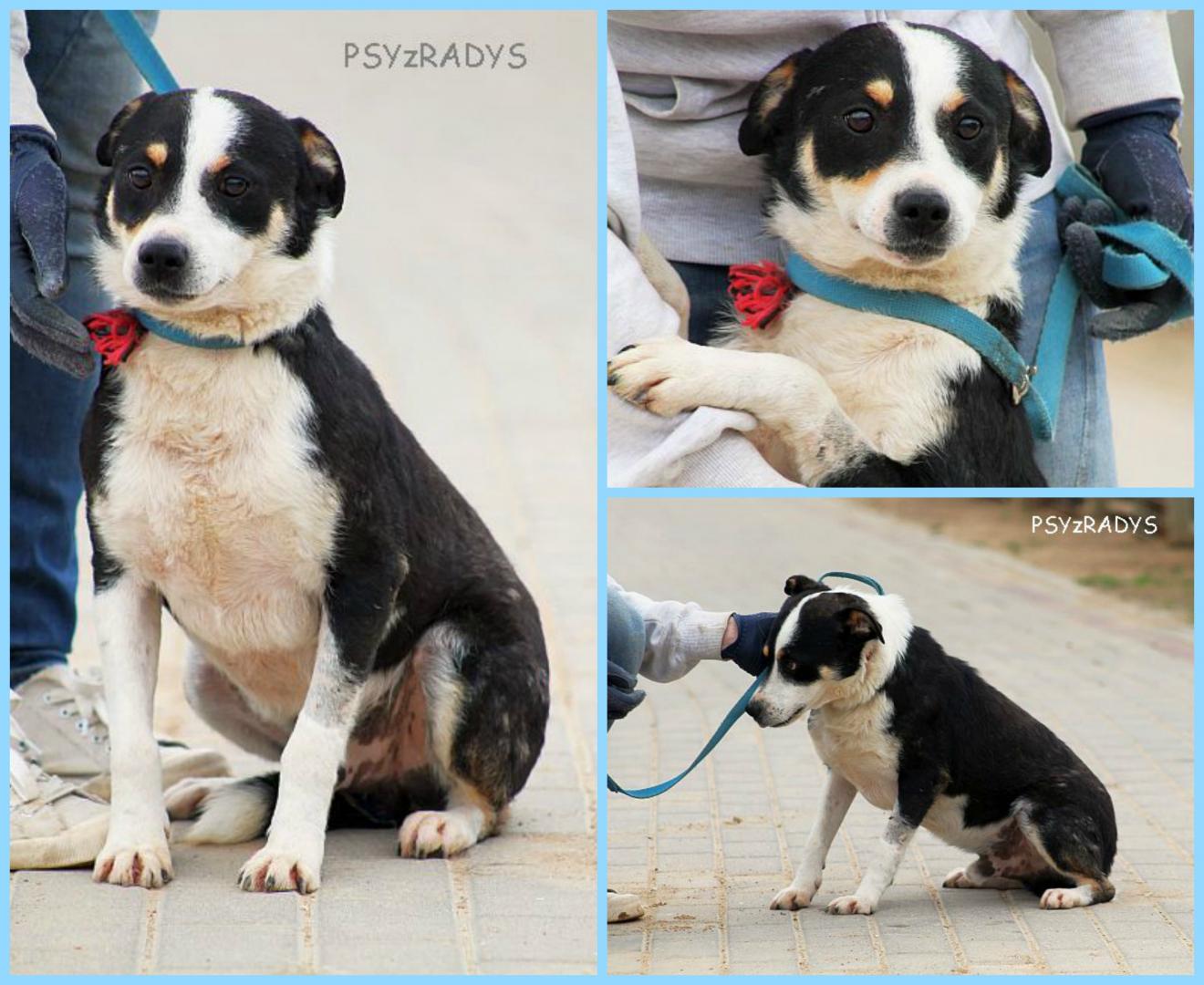 PicMonkey Collage.jpg