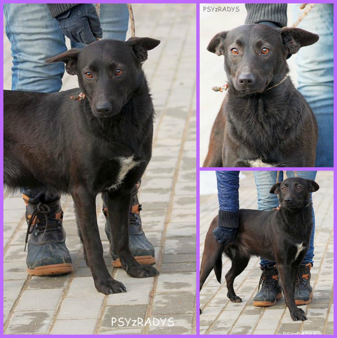 PicMonkey Collage.jpg