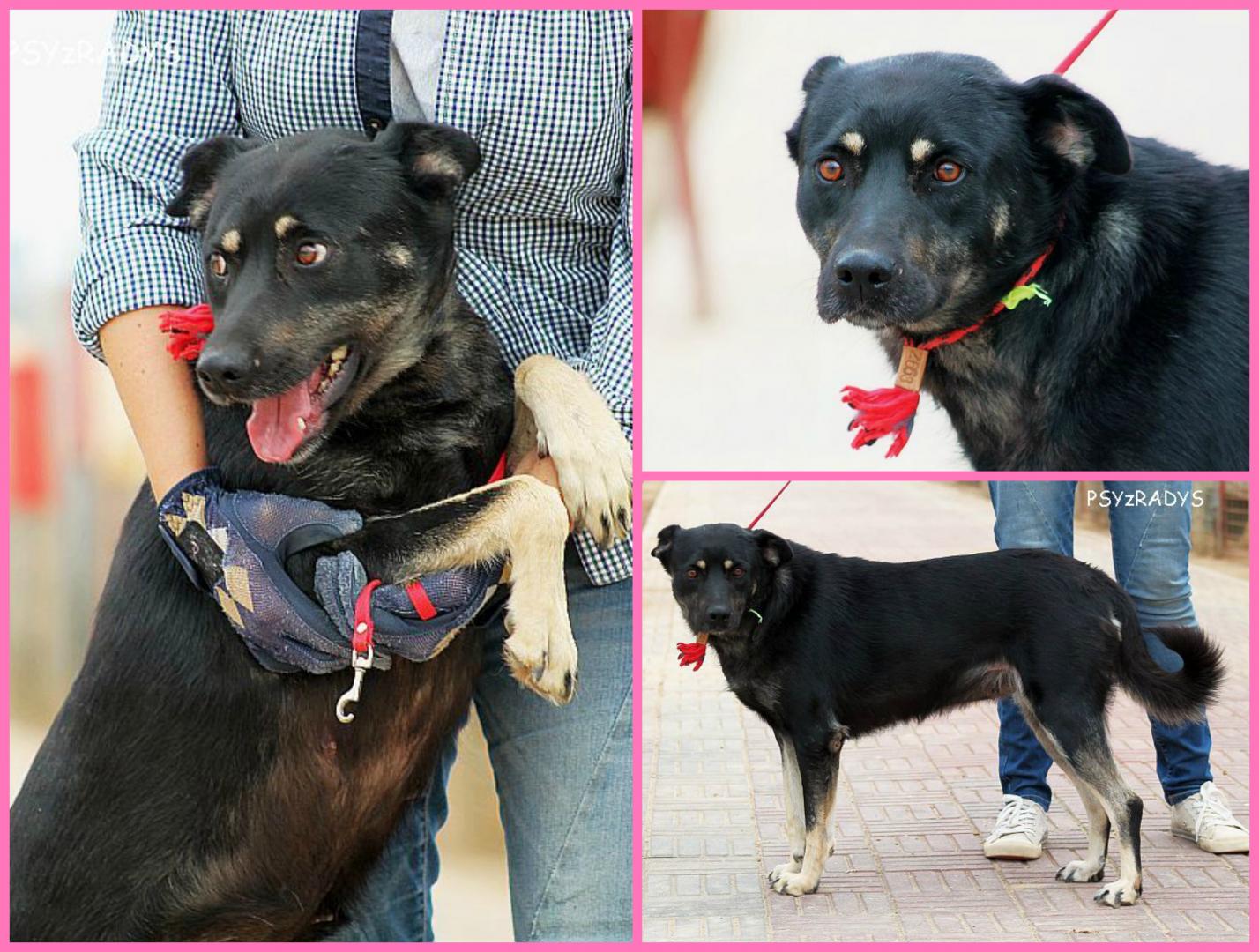 PicMonkey Collage.jpg