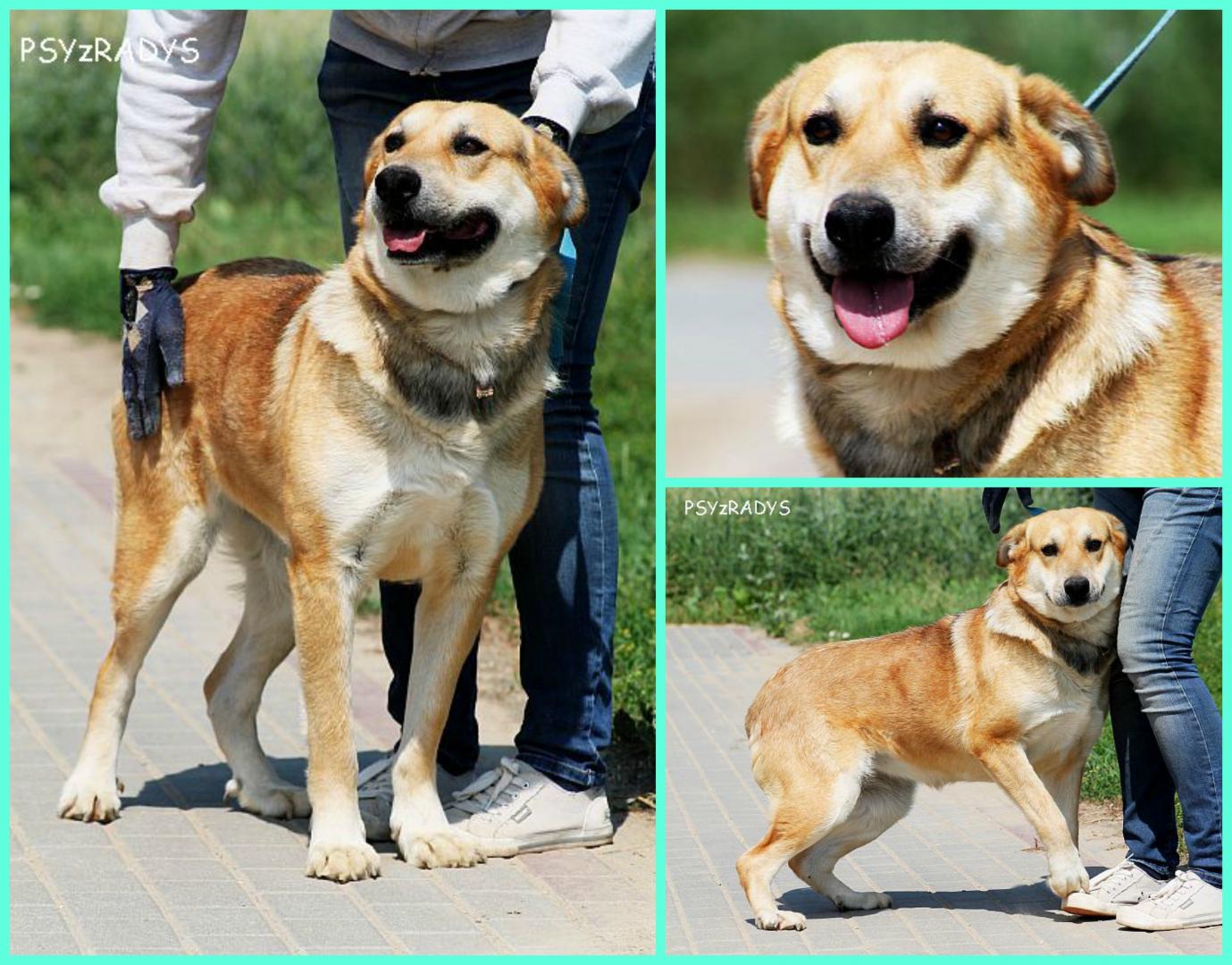 PicMonkey Collage.jpg