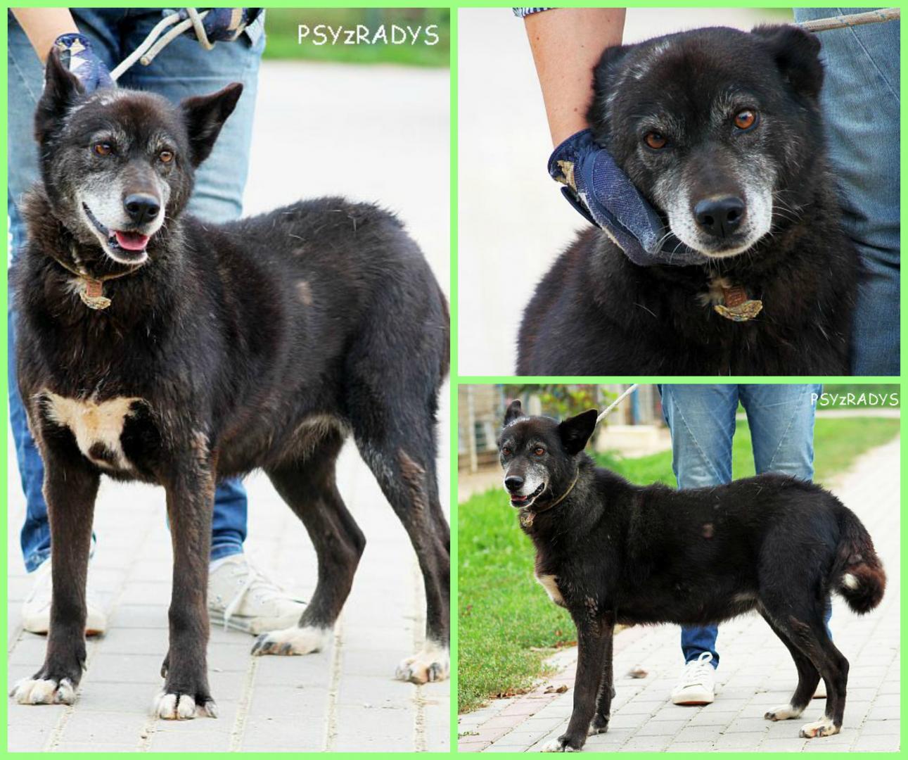 PicMonkey Collage.jpg