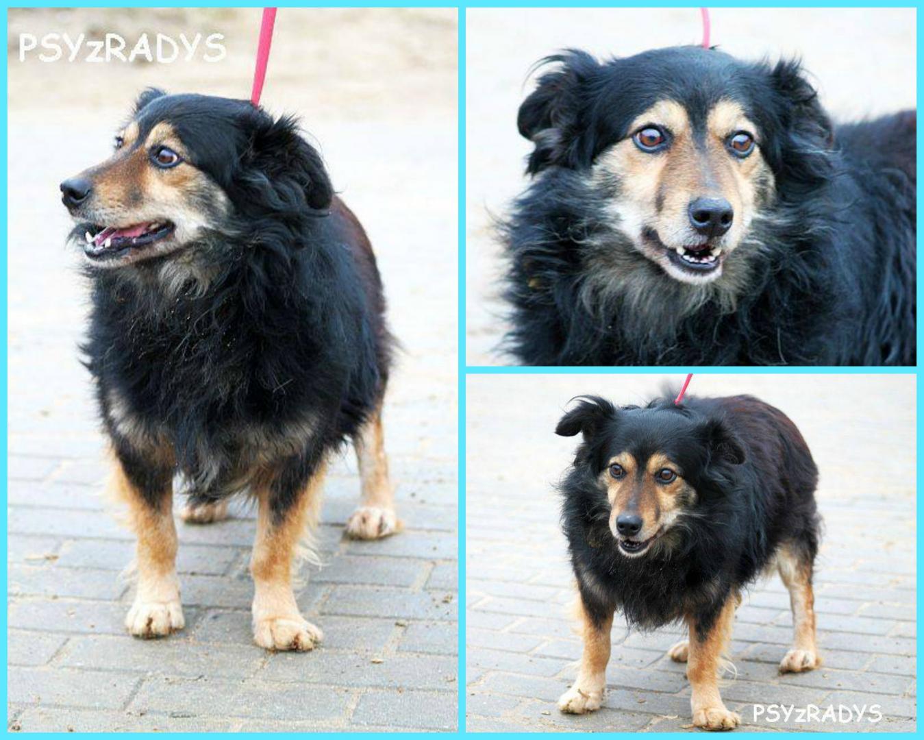 PicMonkey Collage.jpg