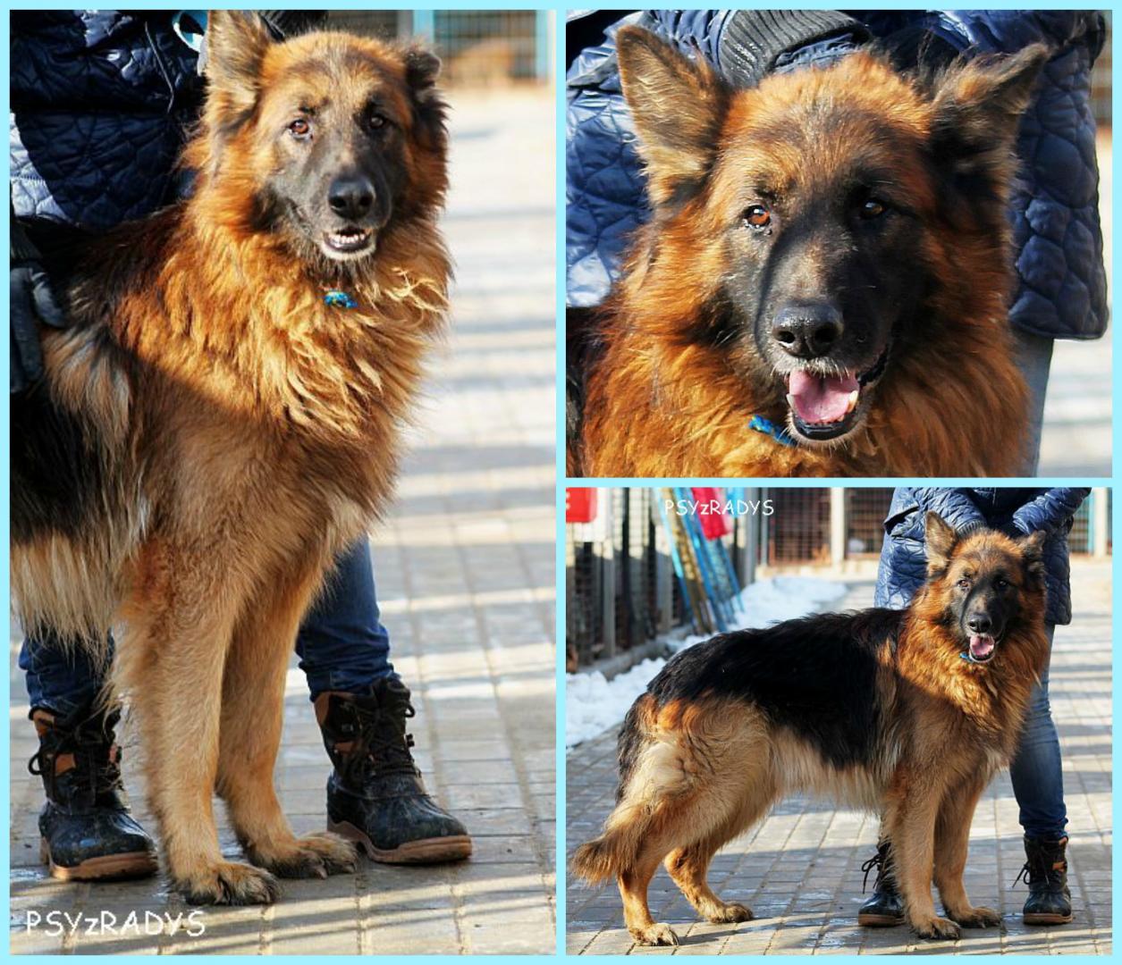 PicMonkey Collage.jpg