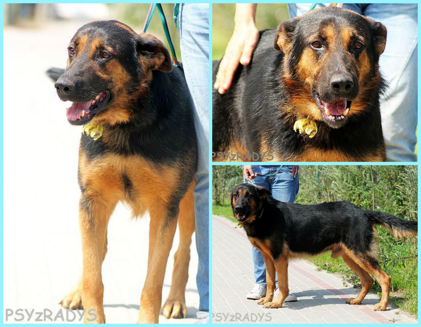 PicMonkey Collage.jpg