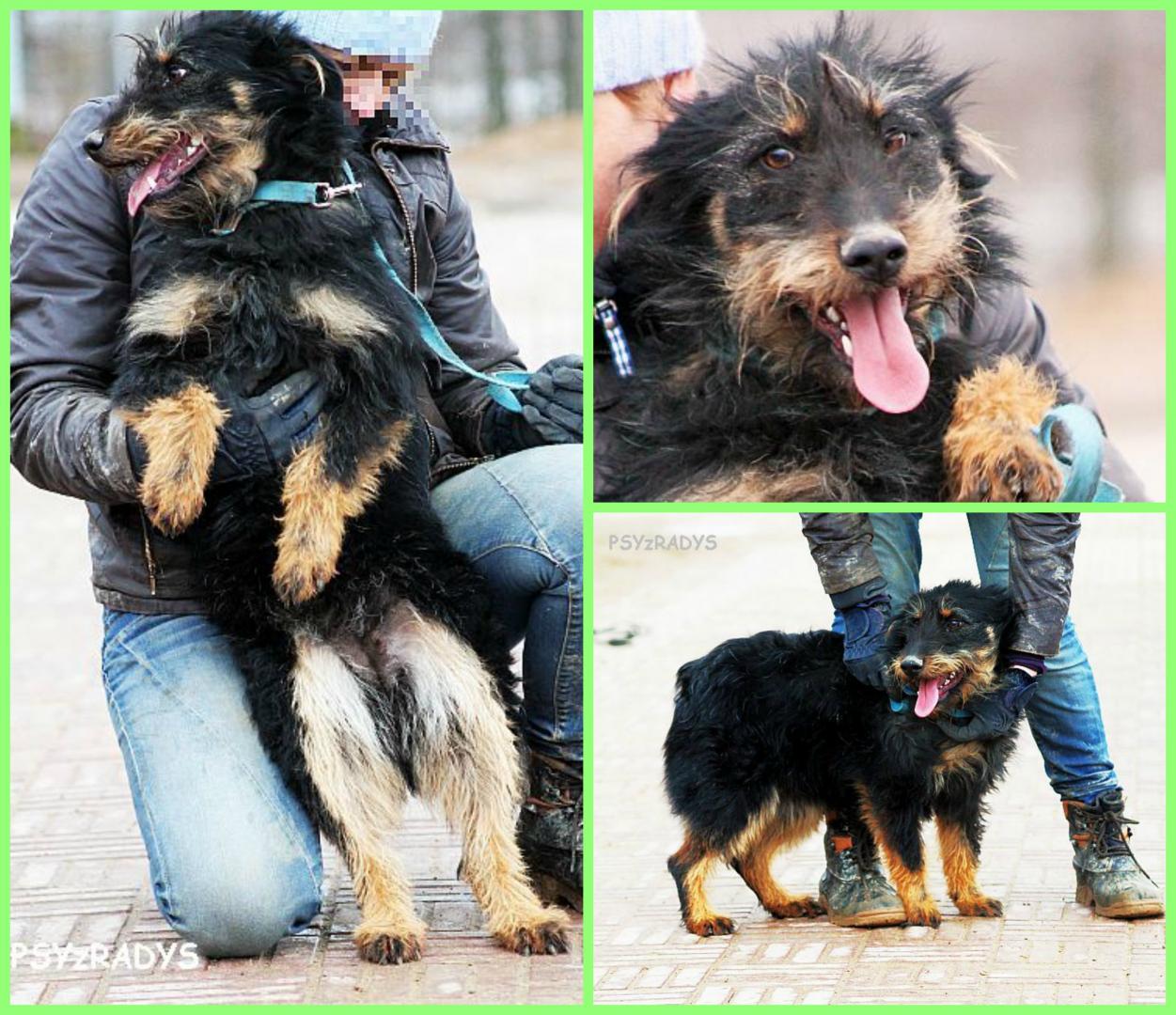 PicMonkey Collage.jpg