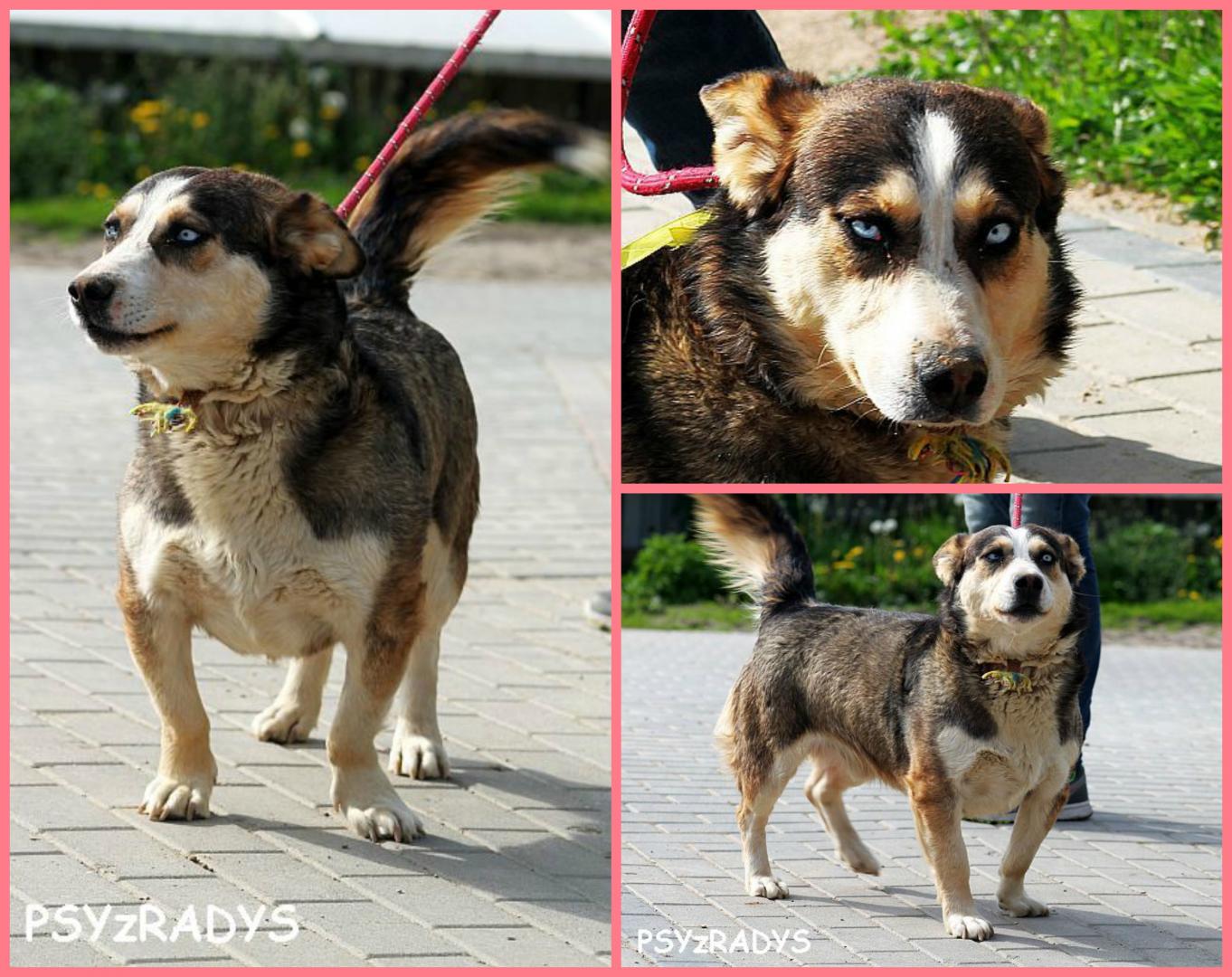 PicMonkey Collage.jpg