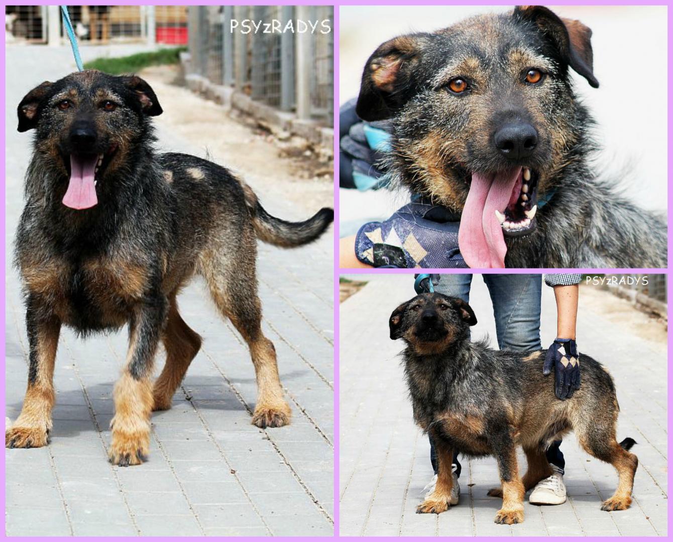 PicMonkey Collage.jpg