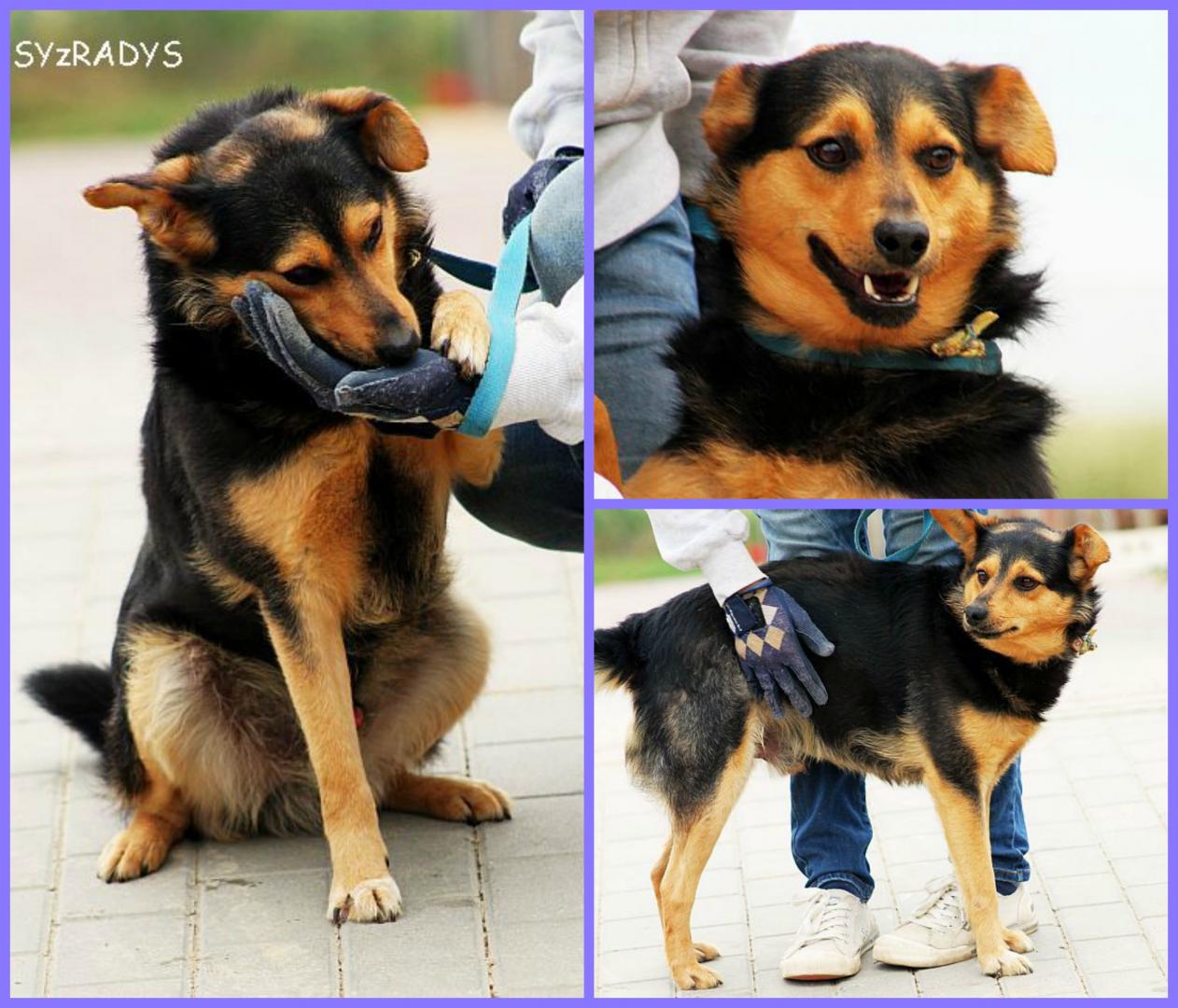 PicMonkey Collage.jpg