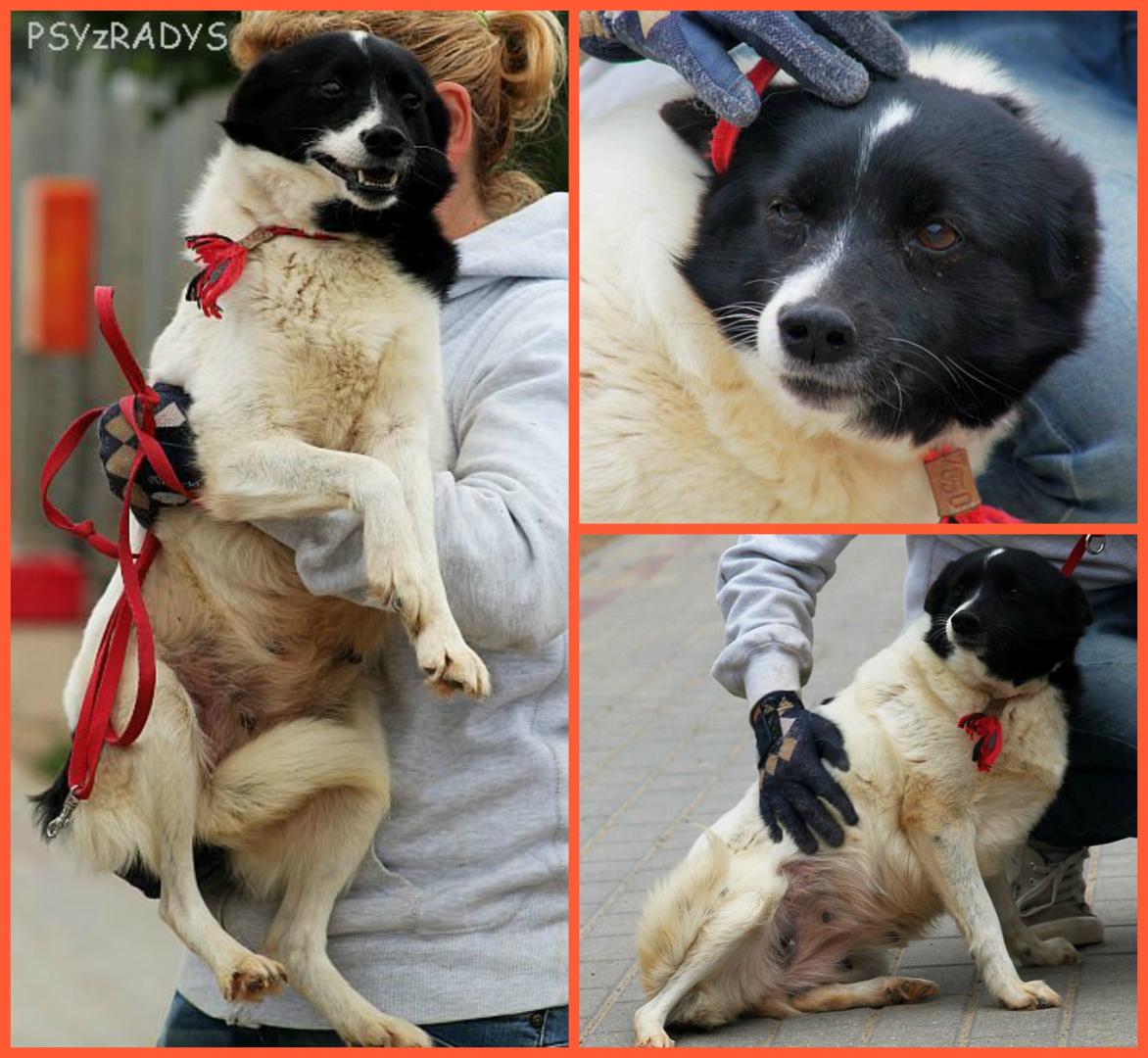 PicMonkey Collage.jpg