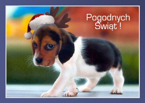 ;pogodnych świąt.jpg