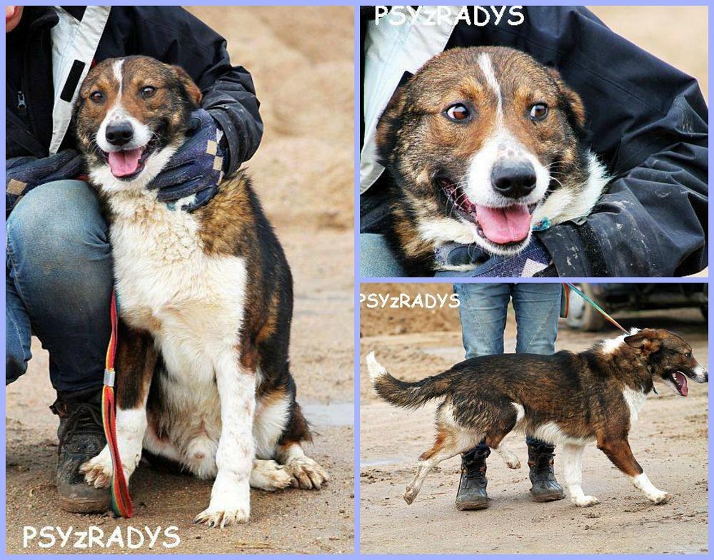 PicMonkey Collage.jpg