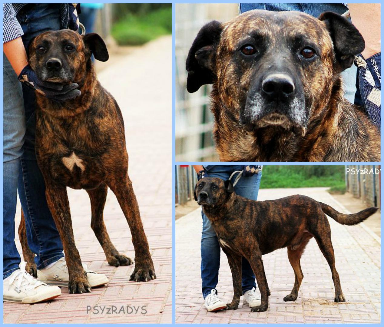 PicMonkey Collage.jpg