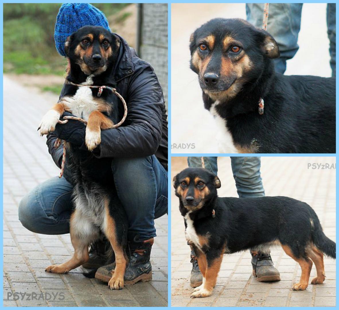 PicMonkey Collage.jpg