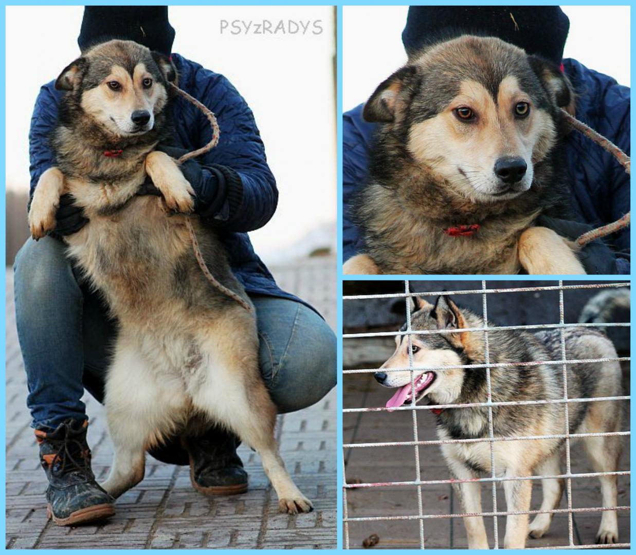 PicMonkey Collage.jpg