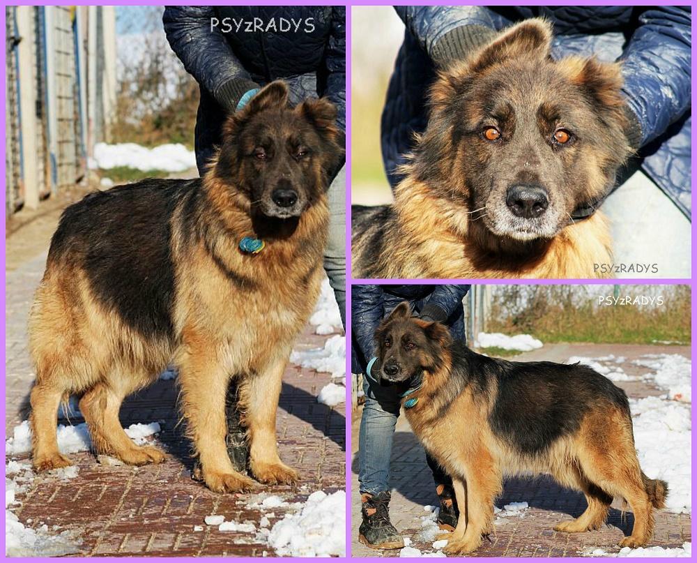 PicMonkey Collage.jpg