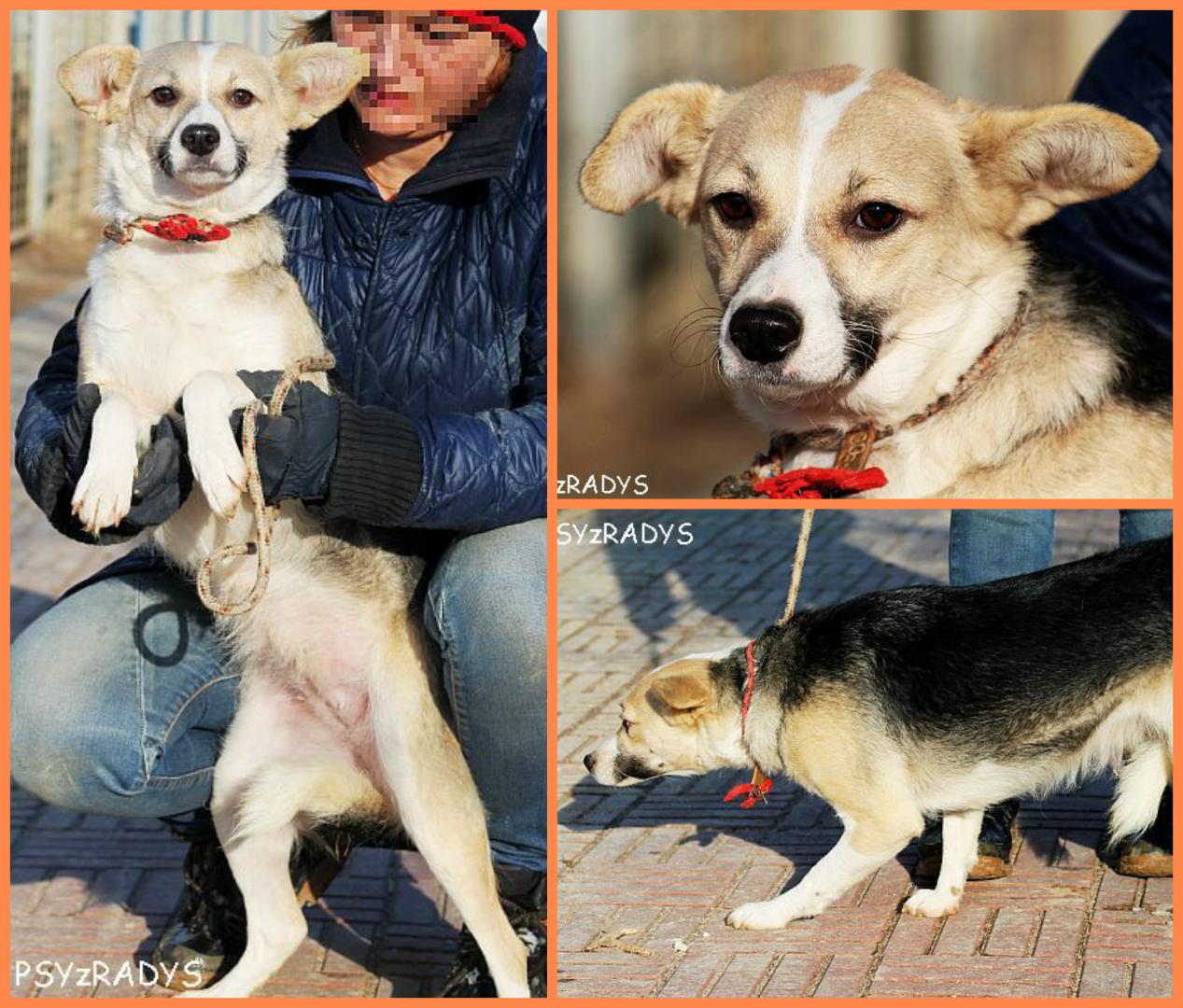 PicMonkey Collage.jpg