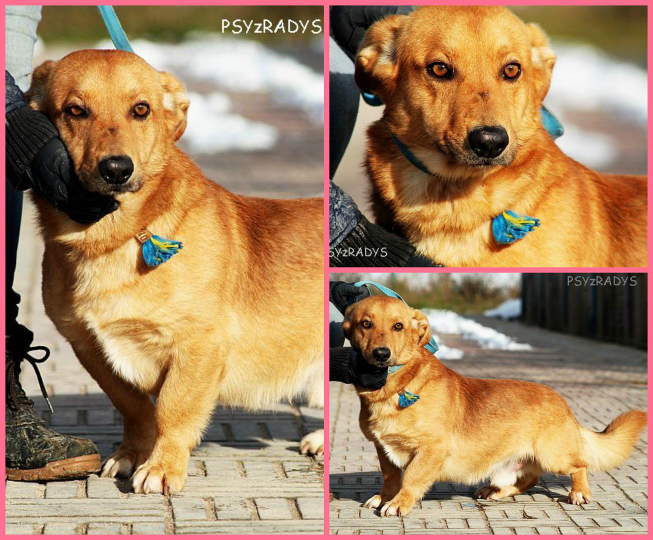 PicMonkey Collage.jpg