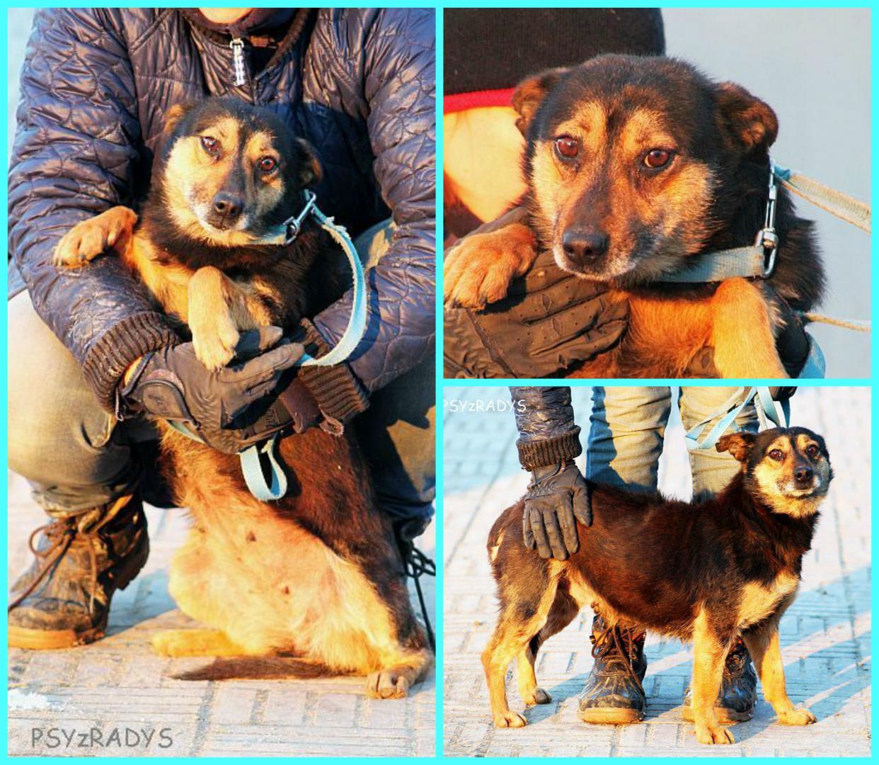 PicMonkey Collage.jpg