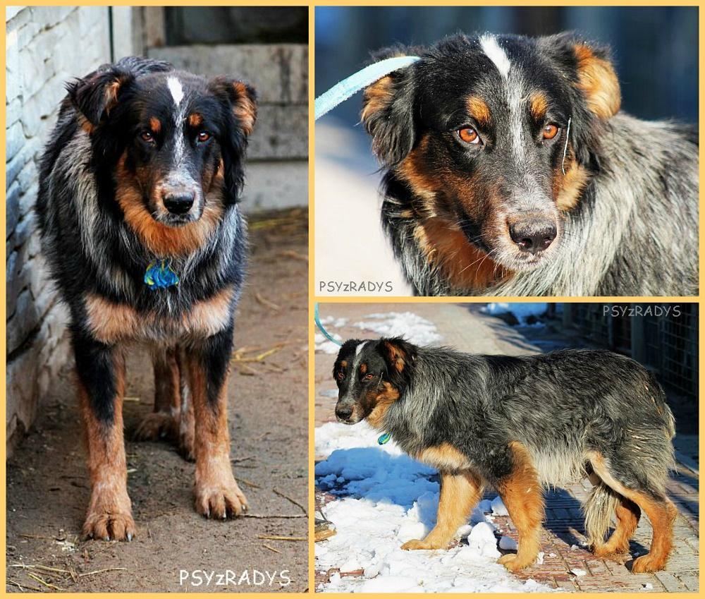 PicMonkey Collage.jpg