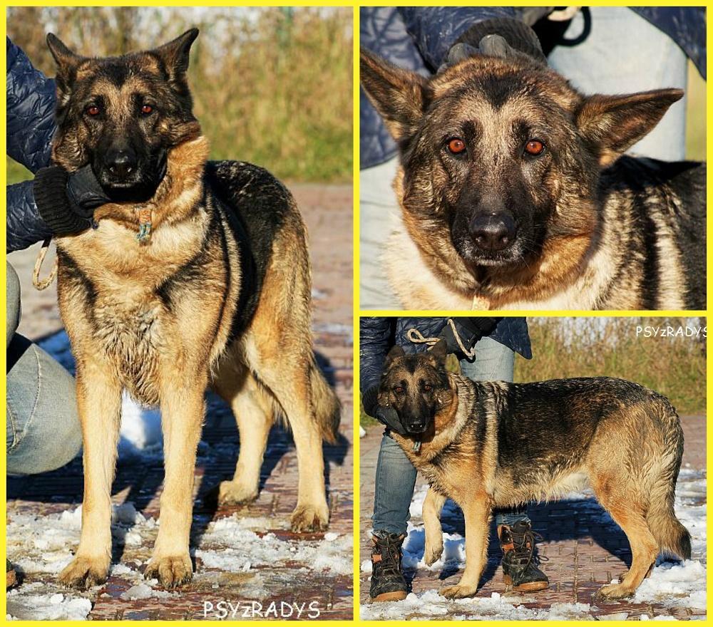 PicMonkey Collage.jpg