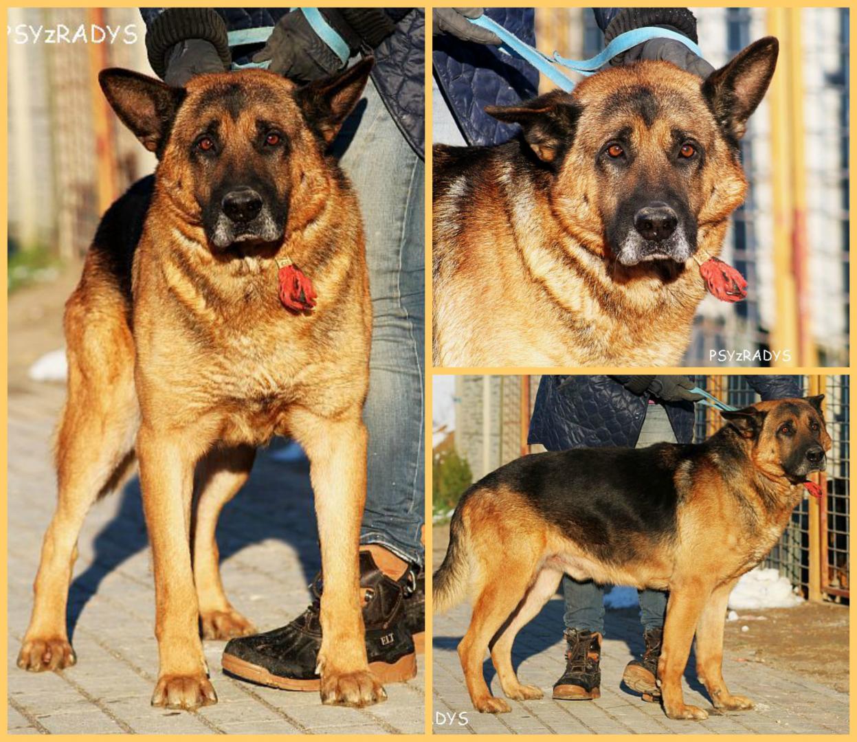 PicMonkey Collage.jpg