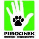 Piesocinek