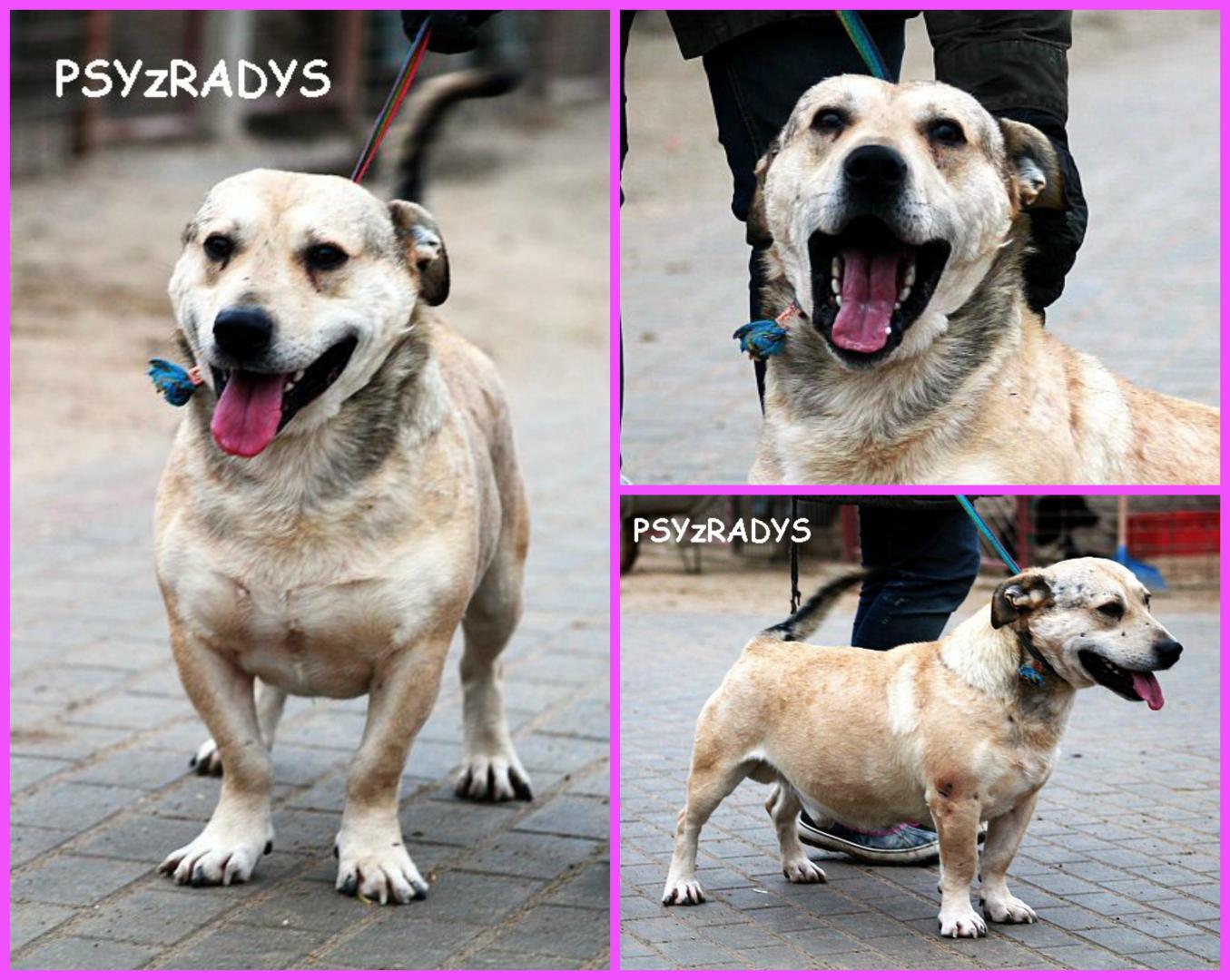 PicMonkey Collage.jpg