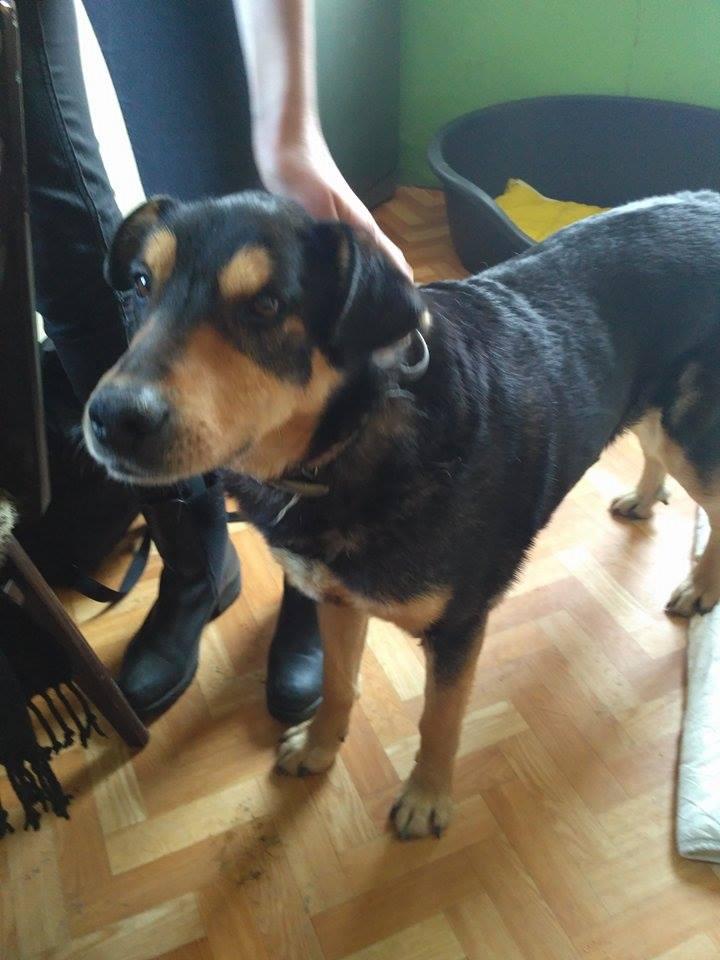 Grafi w hoteliku  (3).jpg