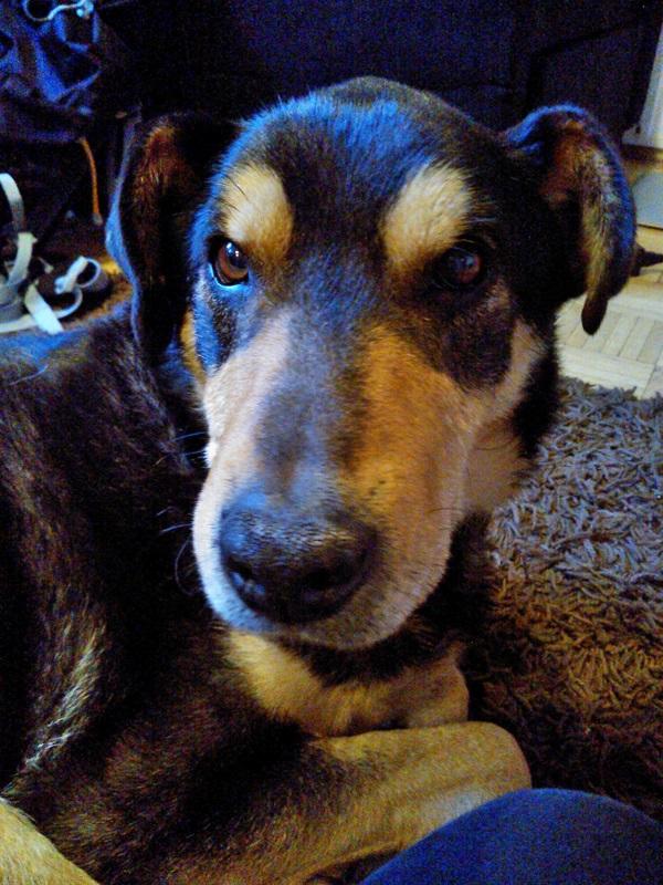 Grafi w DS   (5).jpg